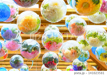 鮮やかな花々が閉じ込められた涼しげなフラワー風鈴のアップ 鮮やかな花々が閉じ込められた涼しげなフラワー風鈴のアップ 141023581