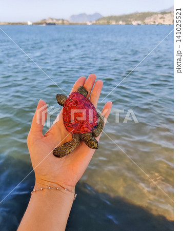 a beautiful little ladle in the palm of your hand a beautiful little ladle in the palm of your hand 141025521