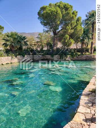 a beautiful large swimming pool near the house a beautiful large swimming pool near the house 141025542
