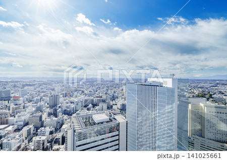 横浜みなとみらい周辺の広大な都市俯瞰景観 横浜みなとみらい周辺の広大な都市俯瞰景観 141025661