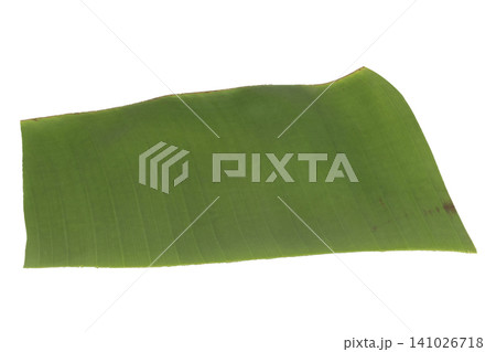 Banana leaf pieces isolated on white background Banana leaf pieces isolated on white background 141026718