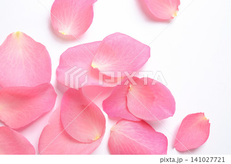 Fresh pink rose petals on white background, top view Fresh pink rose petals on white background, top view 141027721