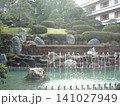 景色、日本庭園 141027949