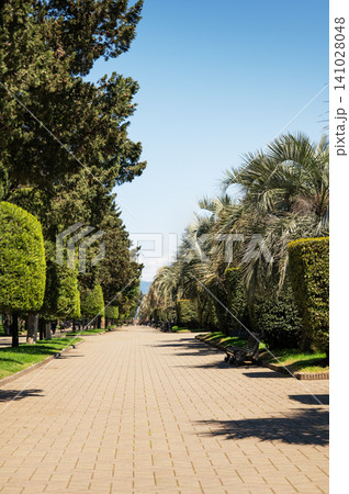 Sunny park walkway lined with lush trees and benches on a clear day. 141028048