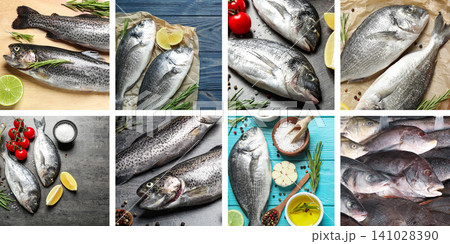 Collage with different delicious fresh raw fishes Collage with different delicious fresh raw fishes 141028390