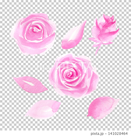 Collection of pink roses and petals watercolor isolated illustration set. Hand drawn floral clipart in coquette aesthetic for romantic soft botanical design. Minimalist sketch in monochrome colors. Collection of pink roses and petals watercolor isolated illustration set. Hand drawn floral clipart in coquette aesthetic for romantic soft botanical design. Minimalist sketch in monochrome colors. 141028464