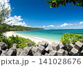 沖縄県国頭村のエメラルドグリーンの海と青い空 141028676
