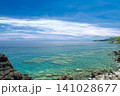 沖縄県国頭村のエメラルドグリーンの海と青い空 141028677
