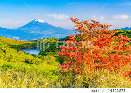【静岡県】箱根玄岳の満開の山ツツジと富士山 【静岡県】箱根玄岳の満開の山ツツジと富士山 141028714