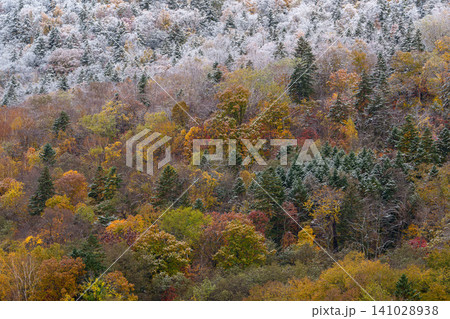 北海道忠別湖 紅葉と雪が織りなす幻想的な秋と冬の自然風景 観光素材 141028938