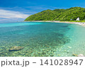 沖縄県国頭村の与那海岸の絶景 141028947
