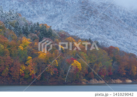 北海道忠別湖 大雪山の麓で見られる紅葉と雪が織りなす幻想的な秋の自然風景 観光素材 北海道忠別湖 大雪山の麓で見られる紅葉と雪が織りなす幻想的な秋の自然風景 観光素材 141029042