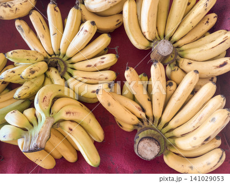 Fresh ripe banana bunches arranged on red background at local fruit market Fresh ripe banana bunches arranged on red background at local fruit market 141029053