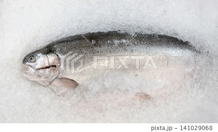 Fresh salmon fish on crushed ice at seafood market display 141029068