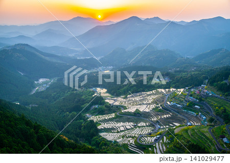 山の斜面に広がる丸山千枚田(三重県)の夕景(横構図) 山の斜面に広がる丸山千枚田(三重県)の夕景(横構図) 141029477