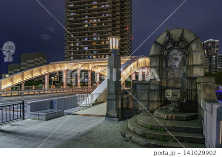 大阪夜景 中之島 堂島大橋 大阪府大阪市 大阪夜景 中之島 堂島大橋 大阪府大阪市 141029902