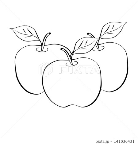 Three apple fruits. School composition Black and white hand drawn illustration. Vector graphic line ink art. Illustration for recipe cookbook, banner, postcard, menu. Three apple fruits. School composition Black and white hand drawn illustration. Vector graphic line ink art. Illustration for recipe cookbook, banner, postcard, menu. 141030431
