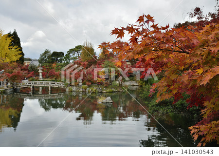秋の永観堂禅林寺 極楽橋からの放生池とモミジ(京都市左京区) 秋の永観堂禅林寺 極楽橋からの放生池とモミジ(京都市左京区) 141030543