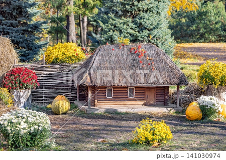 Small wooden house with thatched roof surrounded by flowers and pumpkins in a garden setting during autumn 141030974