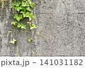 コンクリートの壁面に垂れ下がる緑の葉っぱ　　ボタニカルなフレーム背景 141031182
