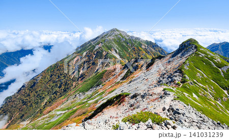 秋の針ノ木岳・蓮華岳登山(針ノ木峠~針ノ木岳山頂:蓮華岳を望む) 秋の針ノ木岳・蓮華岳登山(針ノ木峠~針ノ木岳山頂:蓮華岳を望む) 141031239