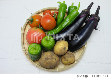 収穫した夏野菜 収穫した夏野菜 141031571