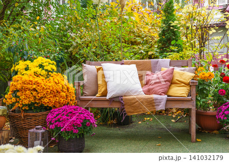 Wooden garden bench with pillows among autumn flowers and colorful foliage in fall backyard Wooden garden bench with pillows among autumn flowers and colorful foliage in fall backyard 141032179