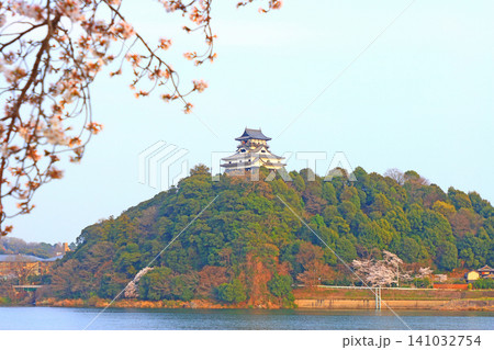愛知県犬山市、犬山城と桜の風景 愛知県犬山市、犬山城と桜の風景 141032754