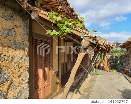 Traditional Korean Thatched House with Loofah Vines Hanging from Eaves Traditional Korean Thatched House with Loofah Vines Hanging from Eaves 141032767