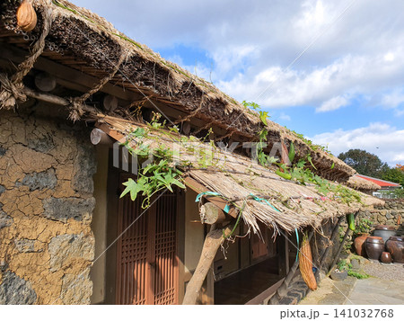 Traditional Korean Thatched House with Loofah Vines Hanging from Eaves 141032768