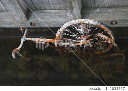 Rusty abandoned bicycle submerged in dark water and covered with algae under wooden pier Rusty abandoned bicycle submerged in dark water and covered with algae under wooden pier 141033237