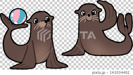 Two sea lions Two sea lions 141034402