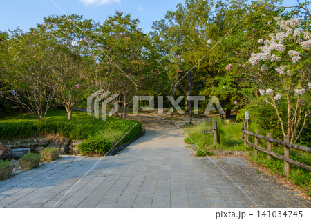 夏の木漏れ日が降り注ぐ公園の遊歩道 夏の木漏れ日が降り注ぐ公園の遊歩道 141034745