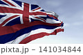 Close up of Hawaii state flag waving on a clear day 141034844