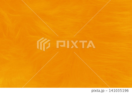 Orange soft wool pattern texture abstract bright fluffy fur background structure backdrop vibrant Orange soft wool pattern texture abstract bright fluffy fur background structure backdrop vibrant 141035196