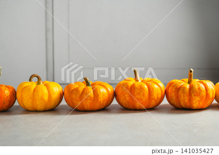 Row of ornamental pumpkins on gray background with copy space Row of ornamental pumpkins on gray background with copy space 141035427