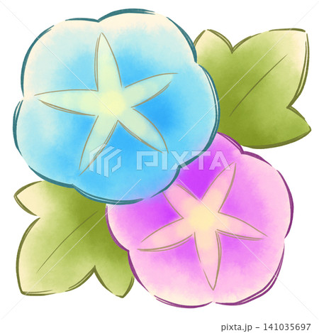 朝顔のイラスト 朝顔のイラスト 141035697