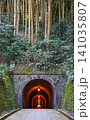 Meiji Tunnel on the Old Tokaido Road in Utsunoya, Shizuoka, Japan Meiji Tunnel on the Old Tokaido Road in Utsunoya, Shizuoka, Japan 141035807