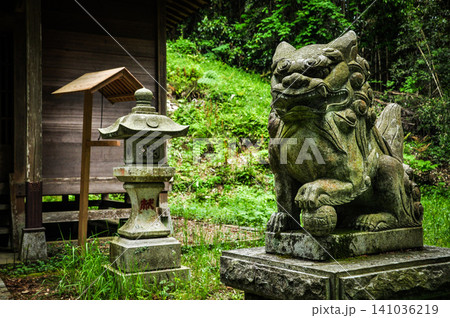 新緑に包まれた白山神社の境内を見守る玉取りの狛犬と石灯籠 新緑に包まれた白山神社の境内を見守る玉取りの狛犬と石灯籠 141036219