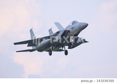 着陸態勢の第303飛行隊のF-15J 着陸態勢の第303飛行隊のF-15J 141036380