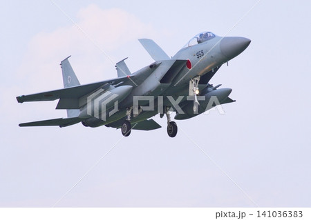 着陸態勢の第303飛行隊のF-15J 着陸態勢の第303飛行隊のF-15J 141036383