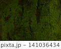 苔がびっしりと覆った木 141036434