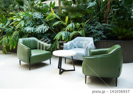 Modern office lounge area with green armchairs and lush foliage. Biophilic interior design in corporate coworking space Modern office lounge area with green armchairs and lush foliage. Biophilic interior design in corporate coworking space 141036937
