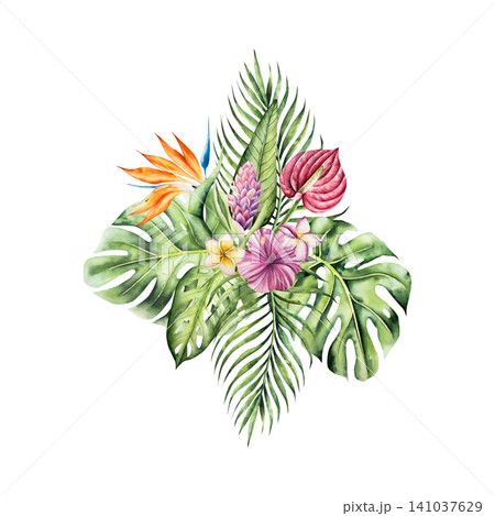 Tropical bouquet. Palm tree, monstera and Strelitzia, frangipani, hibiscus flowers. Watercolor hand drawn Heliconia, plumeria isolated illustration on transparent background. Perfect for design projec Tropical bouquet. Palm tree, monstera and Strelitzia, frangipani, hibiscus flowers. Watercolor hand drawn Heliconia, plumeria isolated illustration on transparent background. Perfect for design projec 141037629