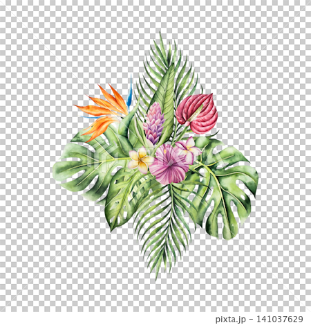 Tropical bouquet. Palm tree, monstera and Strelitzia, frangipani, hibiscus flowers. Watercolor hand drawn Heliconia, plumeria isolated illustration on transparent background. Perfect for design projec Tropical bouquet. Palm tree, monstera and Strelitzia, frangipani, hibiscus flowers. Watercolor hand drawn Heliconia, plumeria isolated illustration on transparent background. Perfect for design projec 141037629