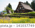 春の五箇山 141037749