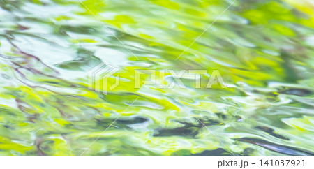 水面に映る森の新緑・清流・夏色イメージ素材 水面に映る森の新緑・清流・夏色イメージ素材 141037921