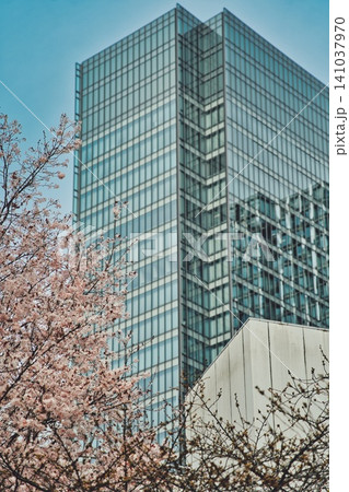 春、芽吹く#71 春、芽吹く#71 141037970