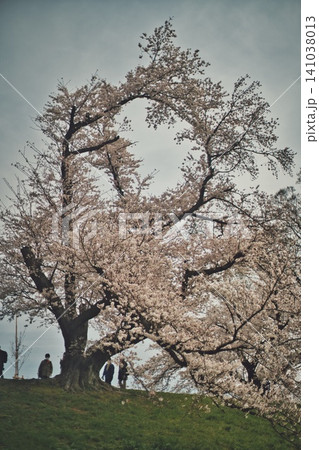 春、芽吹く#110 春、芽吹く#110 141038013