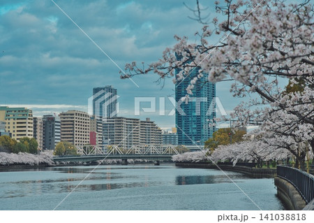 春、芽吹く#132 春、芽吹く#132 141038818
